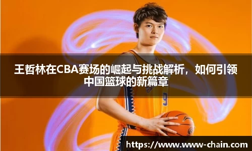王哲林在CBA赛场的崛起与挑战解析，如何引领中国篮球的新篇章